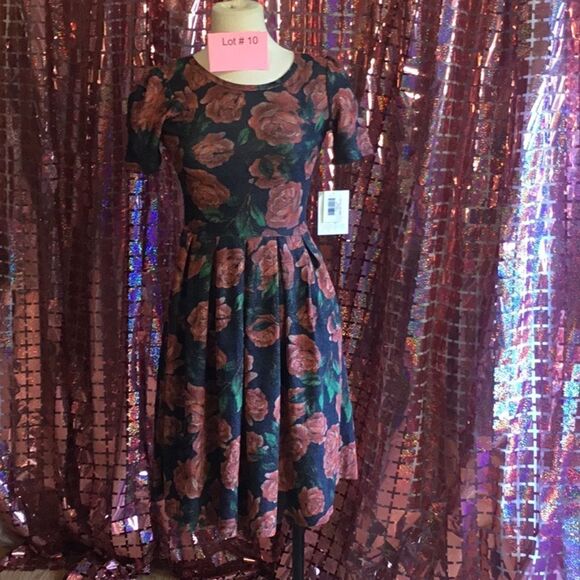 NWT LULAROE AMELIA dress in size extra small vintage rose design - Picture 1 of 15